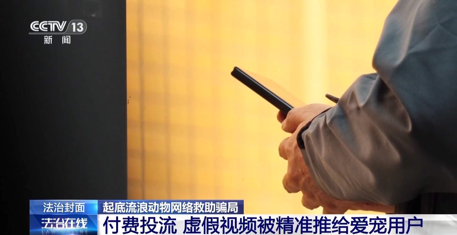 骗250万善款仅3000元用在狗身上 起底流浪动物网络救助骗局
