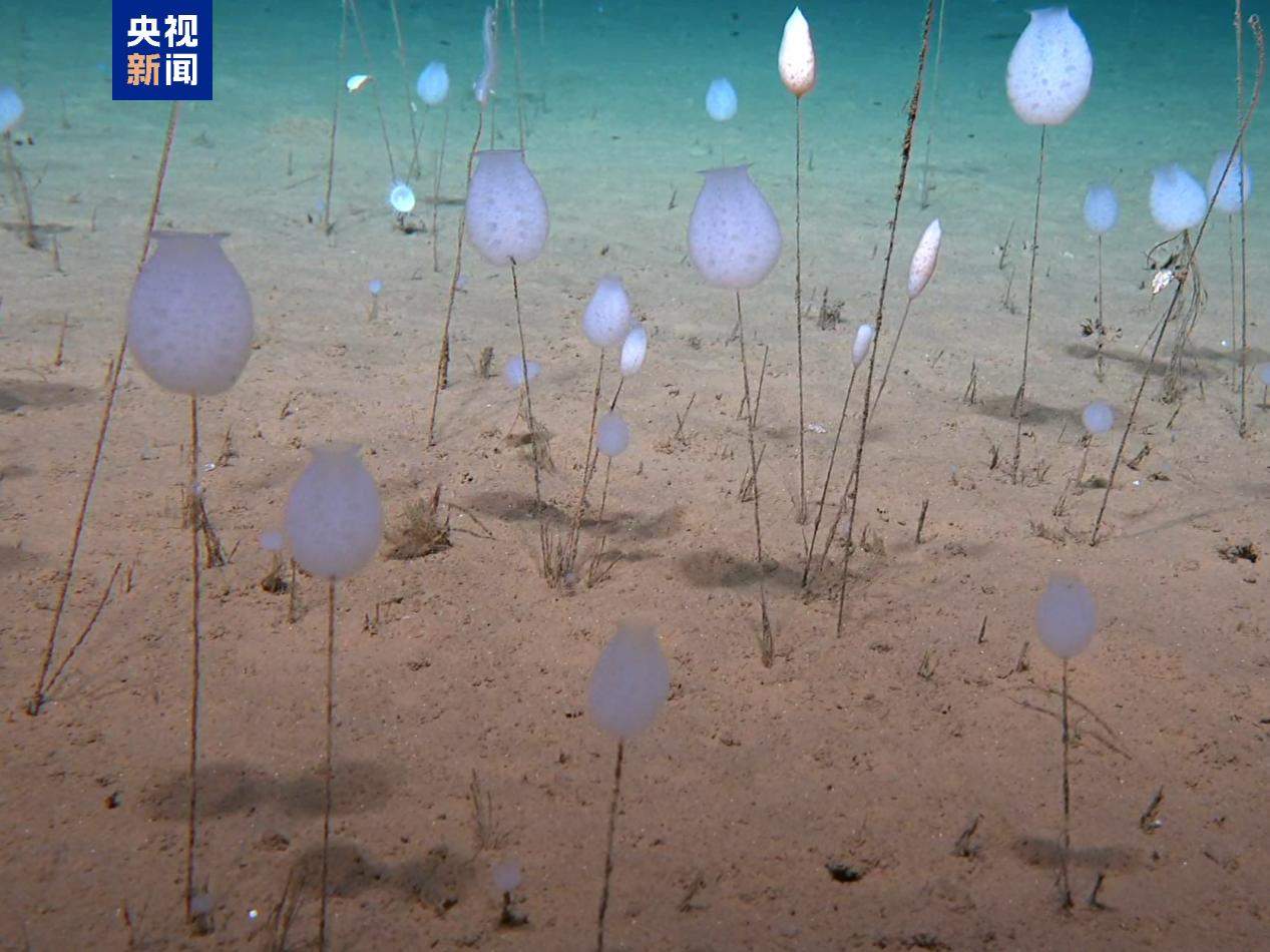 “探索一号”科考船抵达广州 取得多项重要科学发现