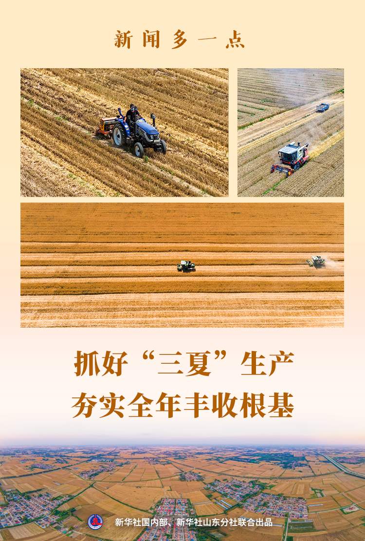 新闻多一点｜抓好“三夏”生产 夯实全年丰收根基