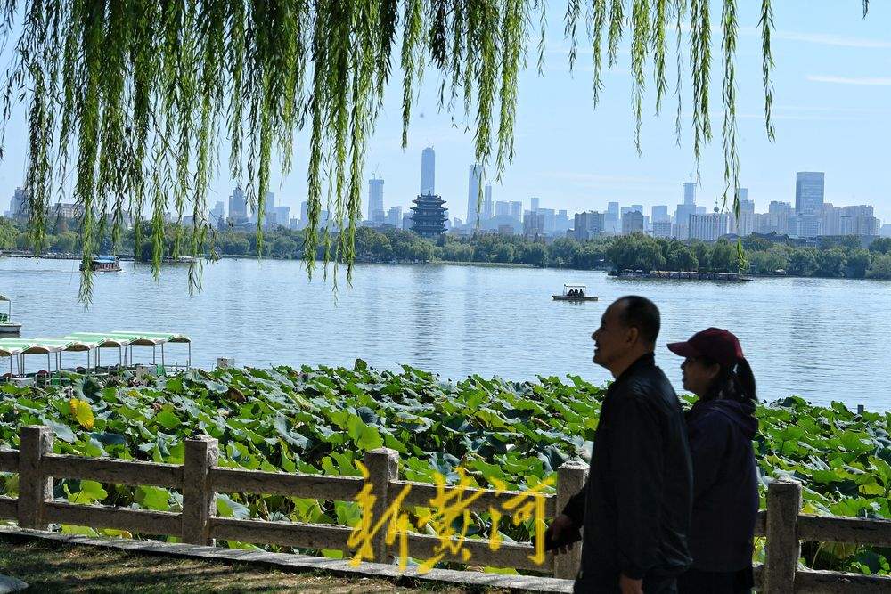 泉在济南 乐享国庆