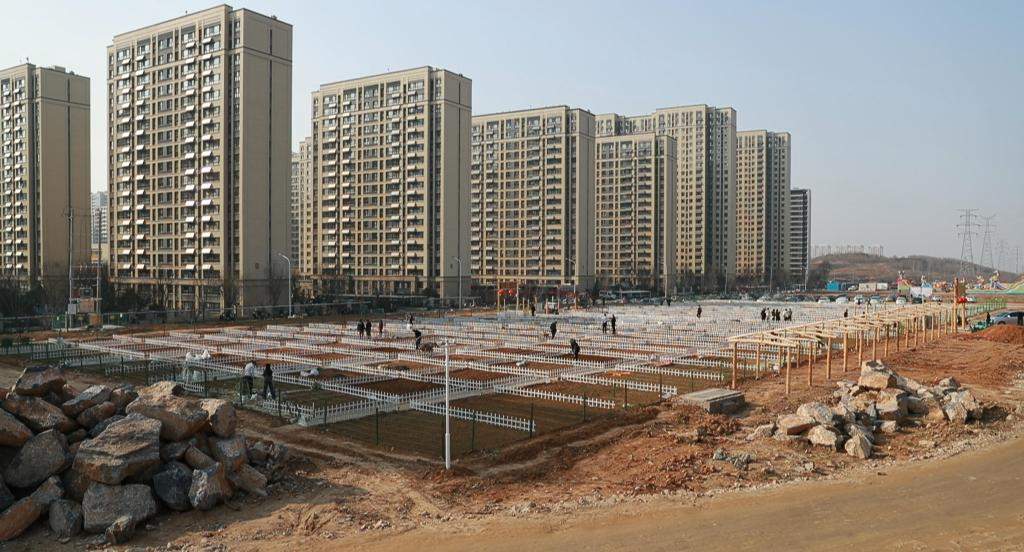 “春日经济”下，“共享菜园”为啥火了？