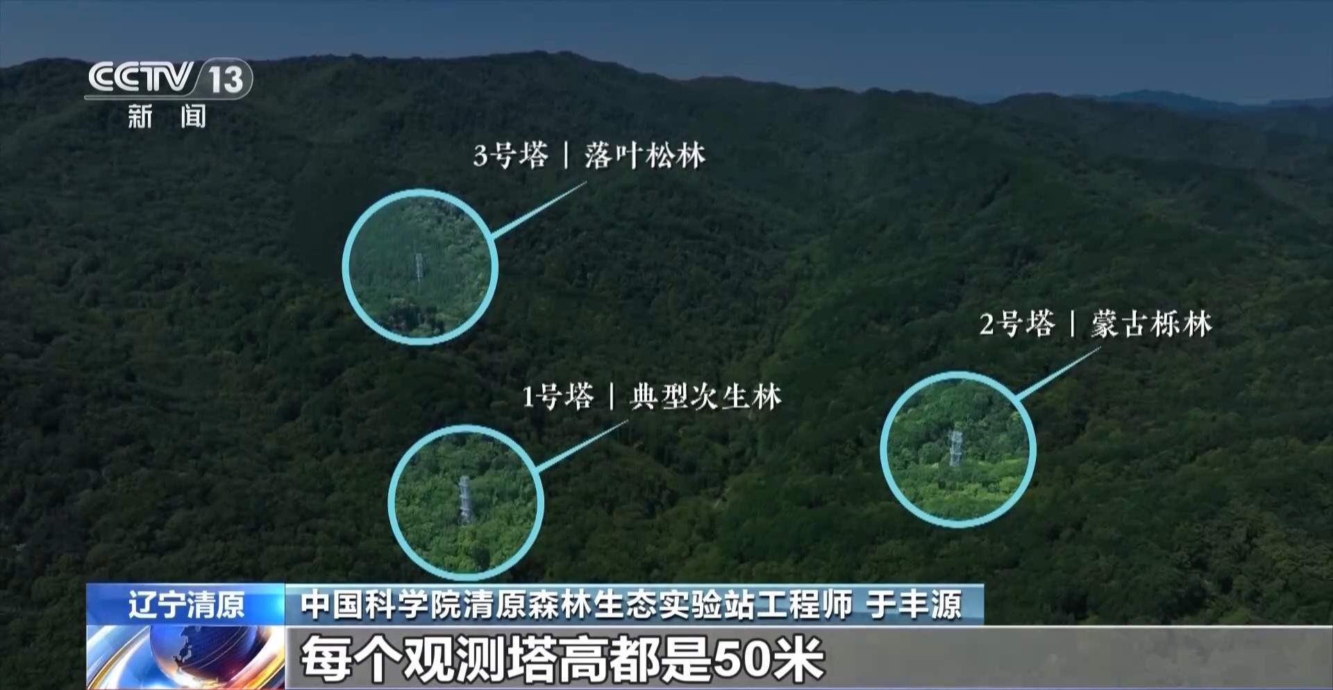 每片叶子都能查！三座巨塔就能监测整片森林