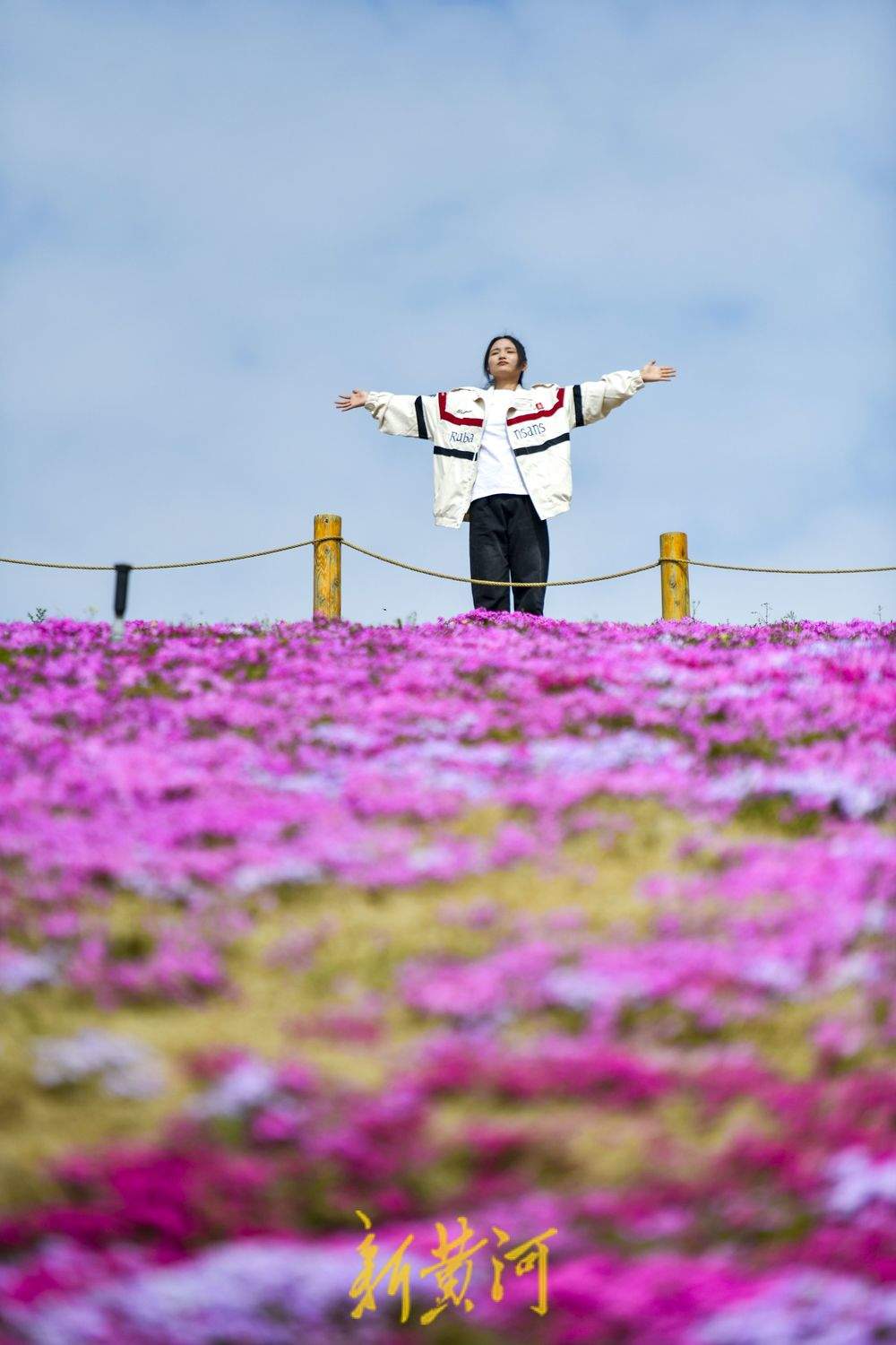 “泉”在济南过五一｜济南牧牛山公园福禄考花盛开