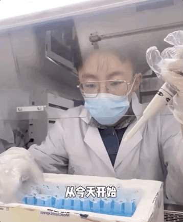 “我的论文被谁偷吃了” 农学生毕业论文惨遭“毒手”