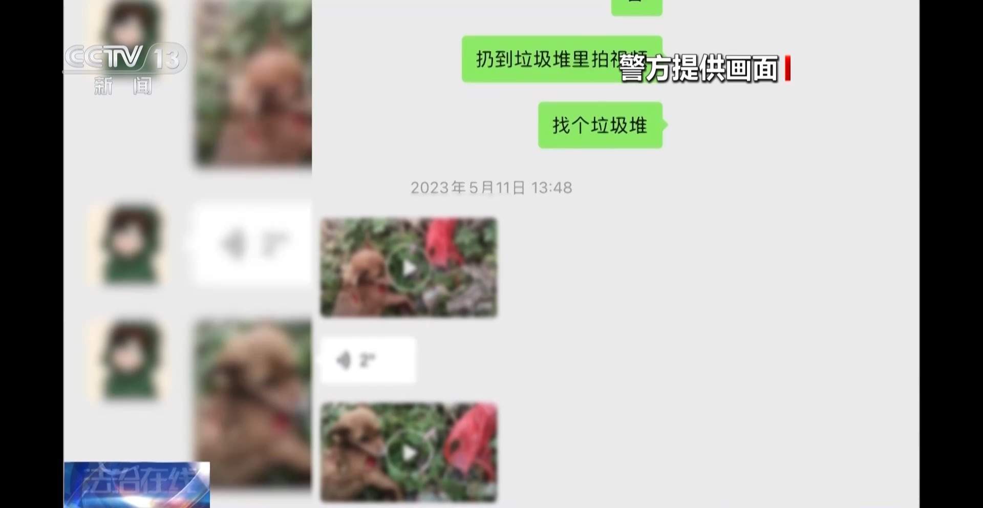 骗250万善款仅3000元用在狗身上 起底流浪动物网络救助骗局