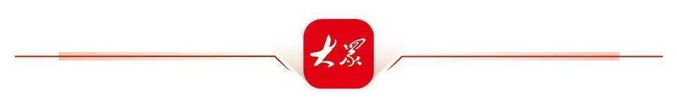 省情研究所|片区化推进乡村振兴的山东实践:从“连片”向“深融”