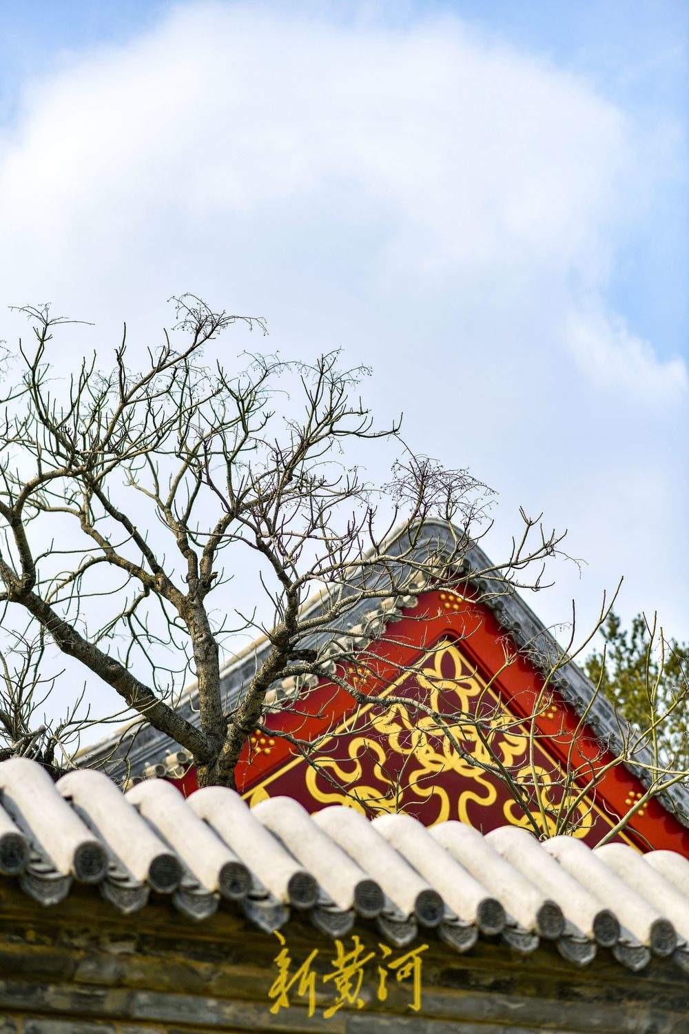 老建筑群“逆生长” ，高墙大院换新装