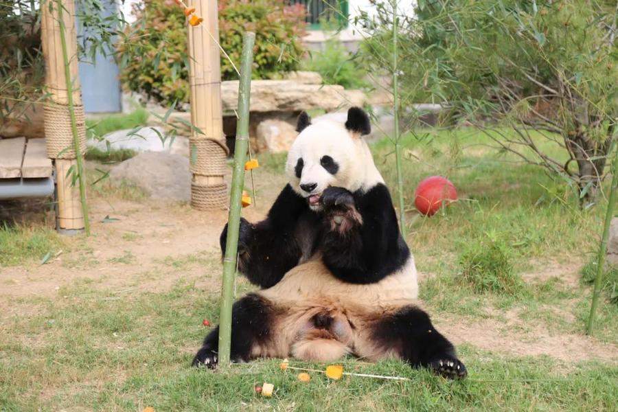 济南公园假期接待游客82.67万人次