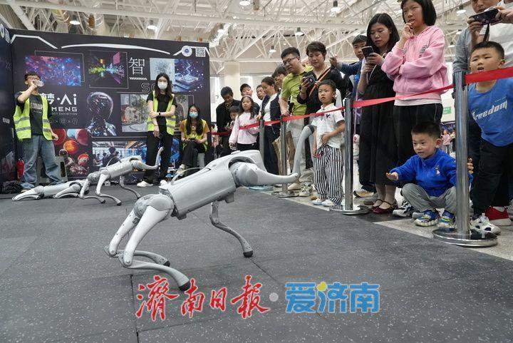 AI智能机器人齐聚泉城 AI智能科普展开启科技盛宴
