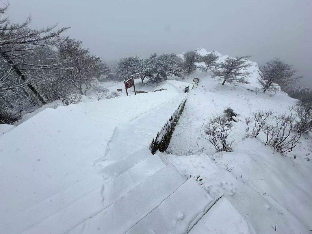 应战暴雪寒潮！泰山积雪深度近20厘米，景区正组织清雪除冰