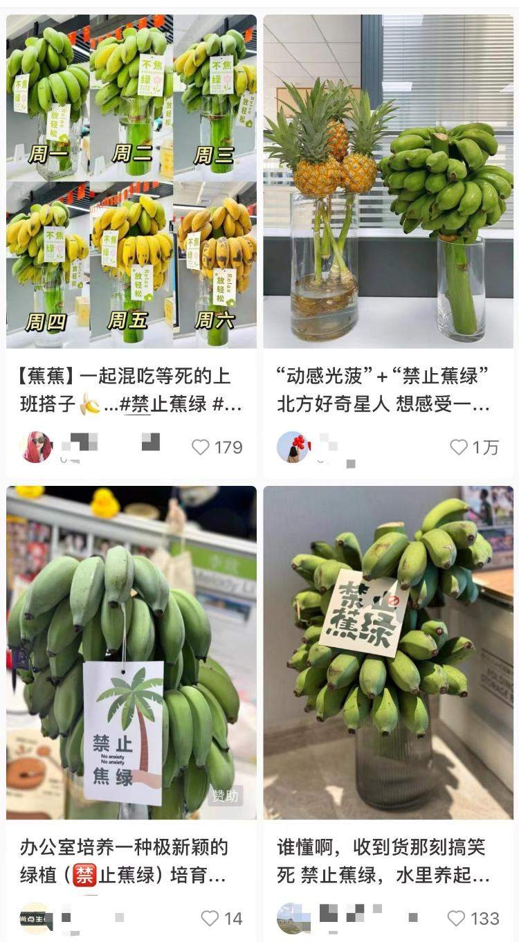 “我在工位种香蕉”：这届打工人在养一种很新的上班搭子