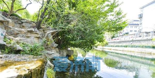 快来体验！千米绿道串起趵突泉和大明湖