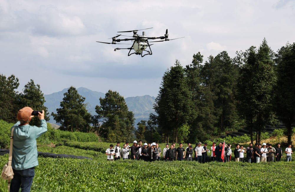 春播春管进行时——各地农业高质量发展一线观察