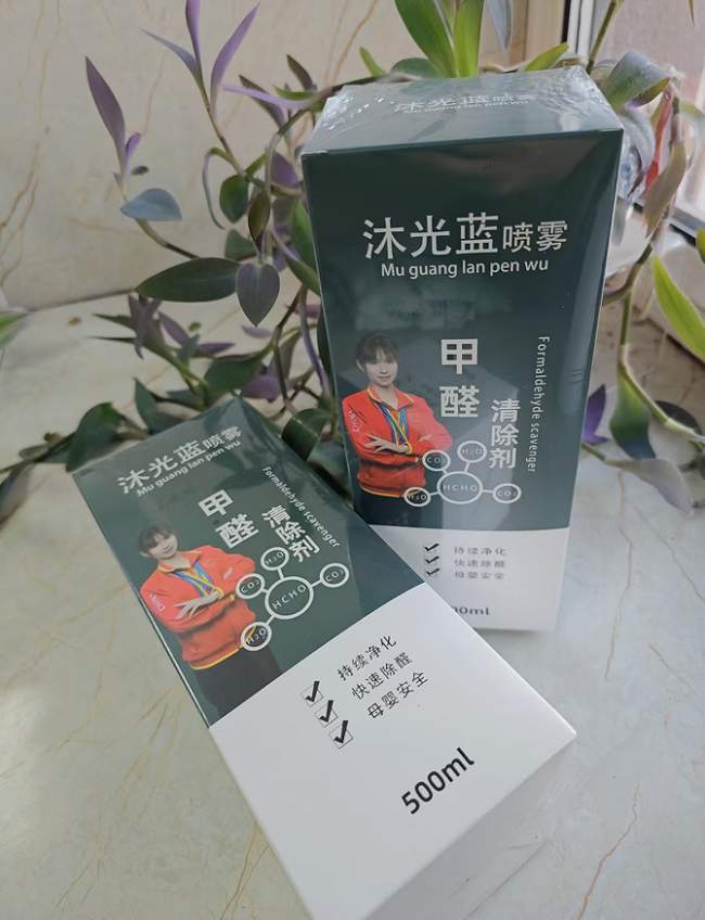 2026年除甲醛产品推荐：吸附+分解+催发多种技术结合的效果分析