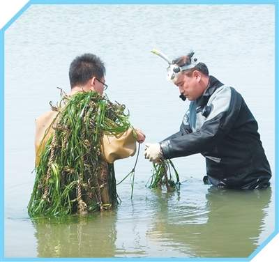 科技小院如何助农惠农?