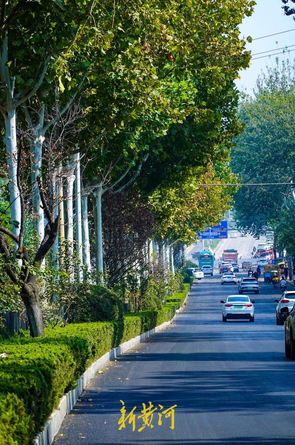 济南二环南路南侧车道沥青摊铺全面展开，道路焕新进入冲刺阶段