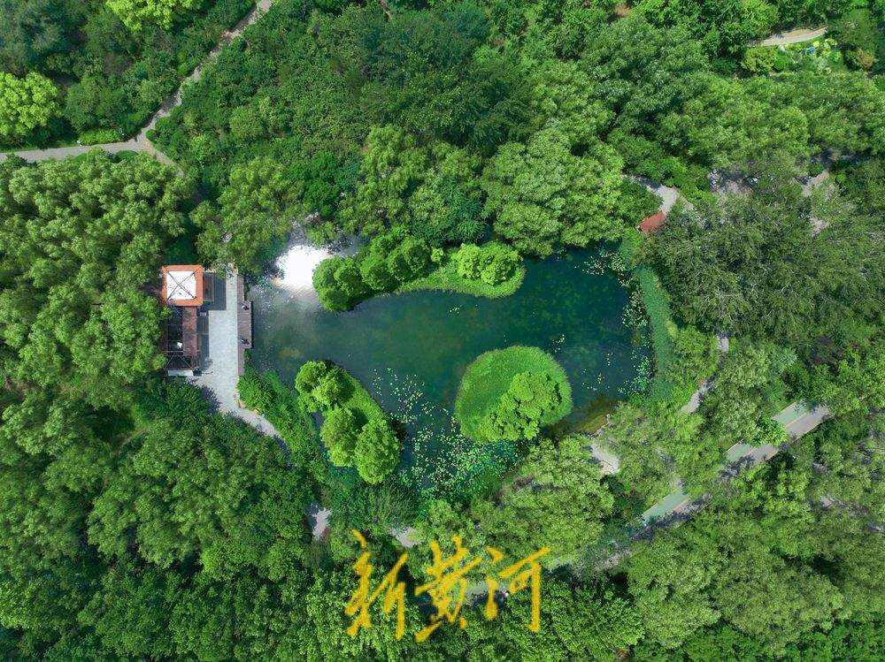雨后济南森林公园满眼翠绿惹人醉