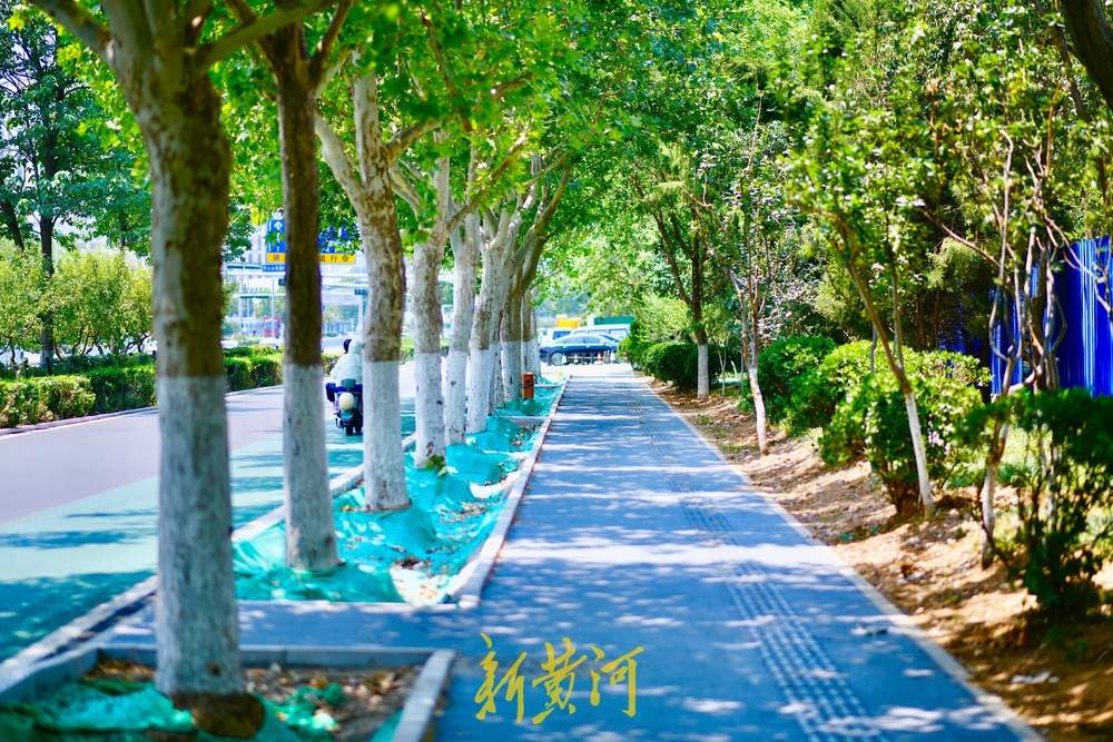 济南工业南路细节提升改造，突出生态环保荷元素主题