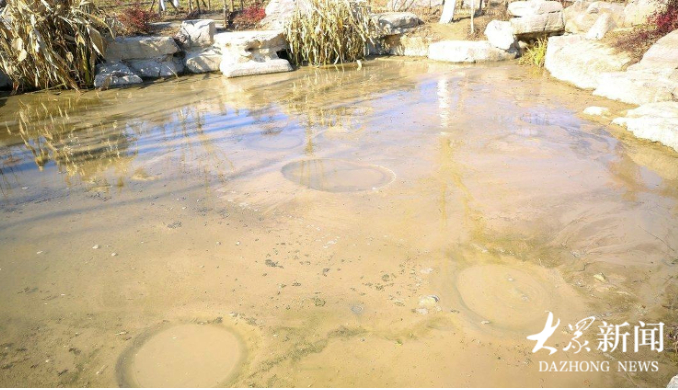 济南城区“最低调”的泉群：一汪澄澈，沙涌如雪，你去过吗？