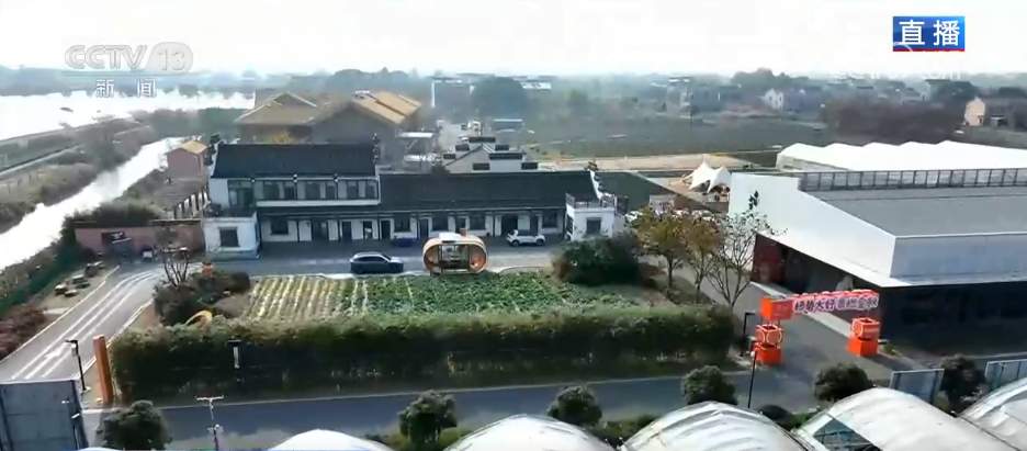 让“闲田”变“忙田” 农村创业新力量让冬日乡村“火”起来