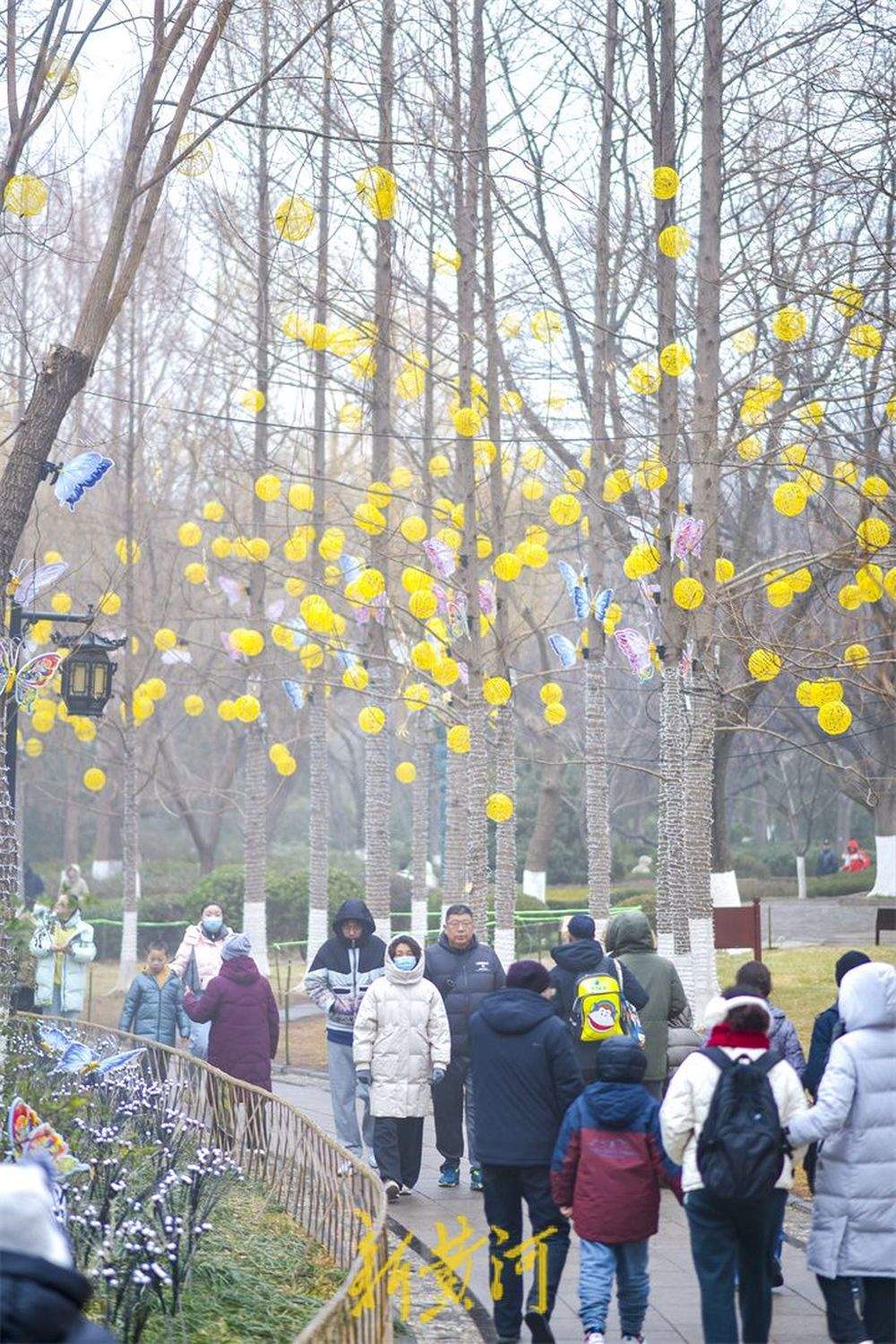 “泉”在济南过大年｜气温骤降难挡出游热情，泉畔沉浸式体验“仙境”游 