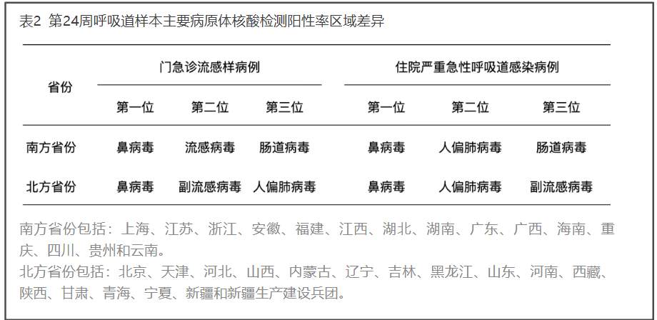警惕当前“头号病原体”鼻病毒 这些健康细节别忽视