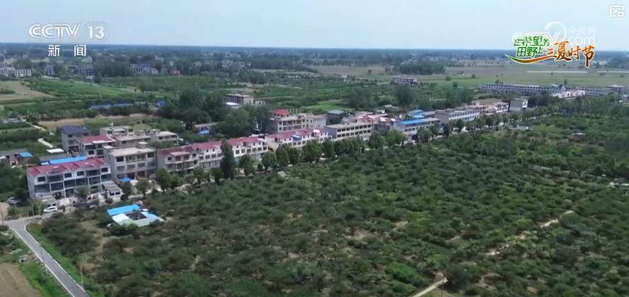 生态优势变经济优势 特色农业带动农民增收与乡村旅游