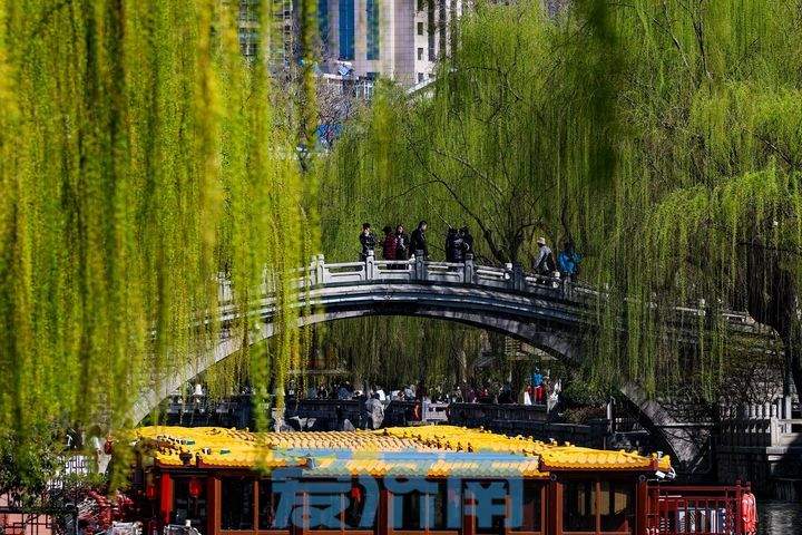 “济南的春天比2024的北京来得早一些”