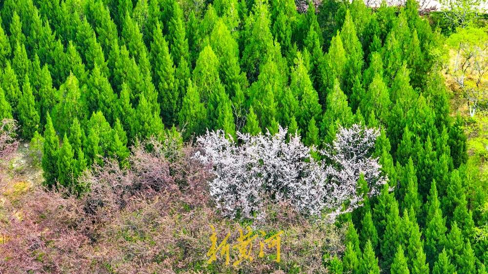 济南这处渣土山披绿变公园，成登山休闲好去处