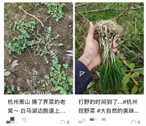 春天流行“打野”？这届年轻人找到了新的“精神快充”