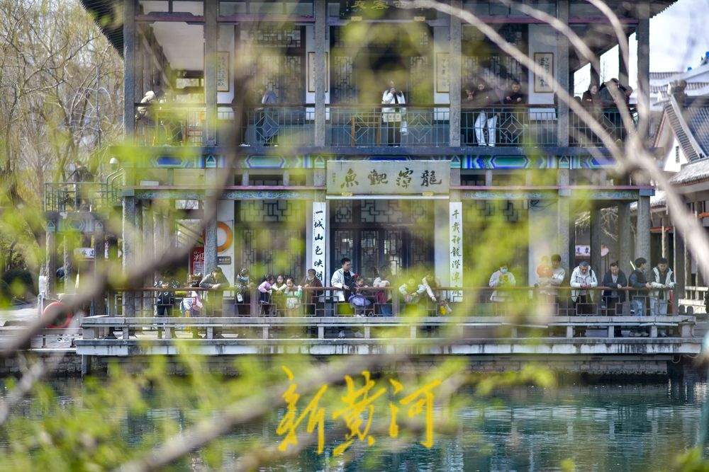 仲春时节开启“追花游”，济南踏青赏花热度攀升