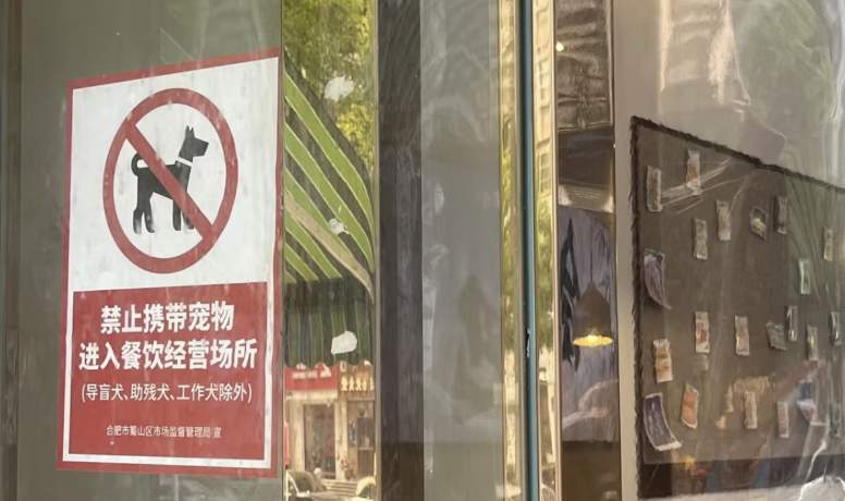 禁止宠物进入 济南有商场叫停宠物友好服务