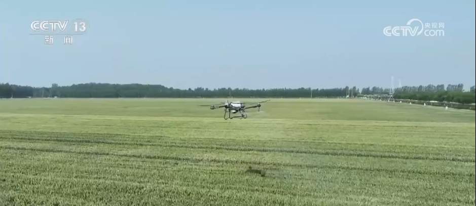 “科学防控+精准服务”各地积极应对旱情 保障高温天气农业生产