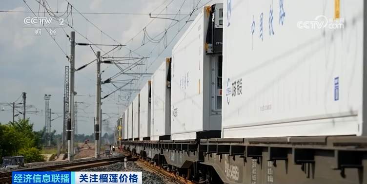 降！降！降！榴莲多年来最低价的背后是这些原因