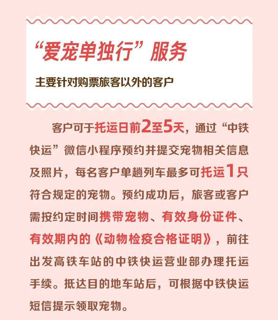 铁路宠物托运升级 它们可以独自“坐”高铁了