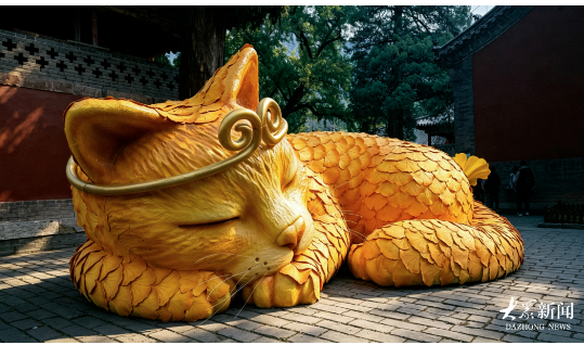 灵岩寺开启银杏季，巨型灵猫、秋日市集上新