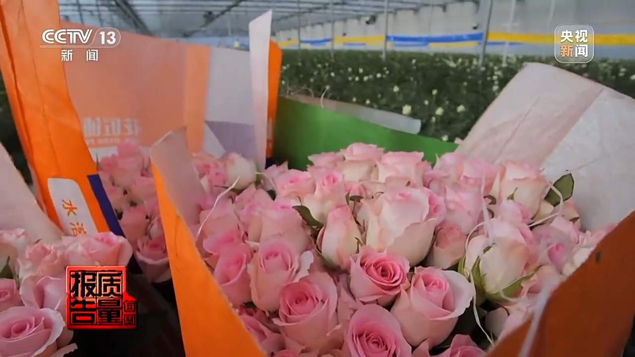 小鲜花大市场,这份美丽的事业正蓄势绽放