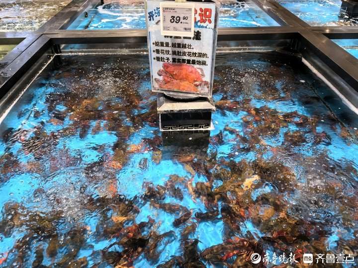 济南今年第一波小龙虾已经上市，你“尝鲜”了吗