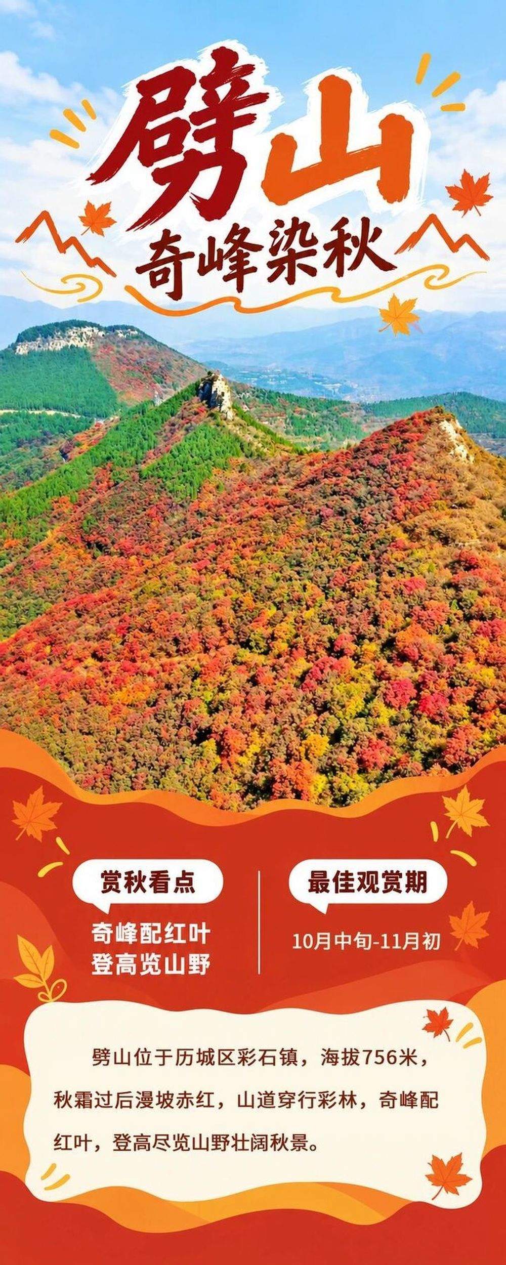 现在出发正当时！泉城红叶迎来最佳观赏期