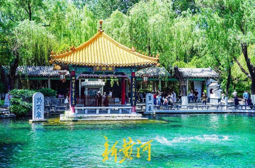 前期强降雨补源效果显著 趵突泉黑虎泉水位双双上涨