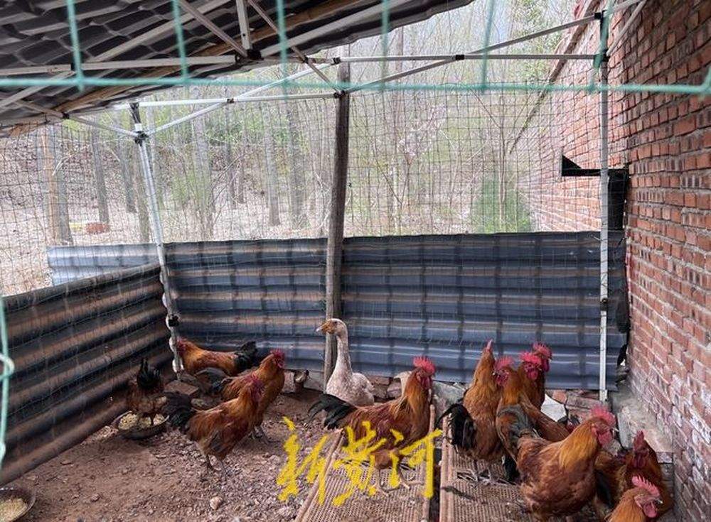 济南这个“农家乐男孩”，又火了