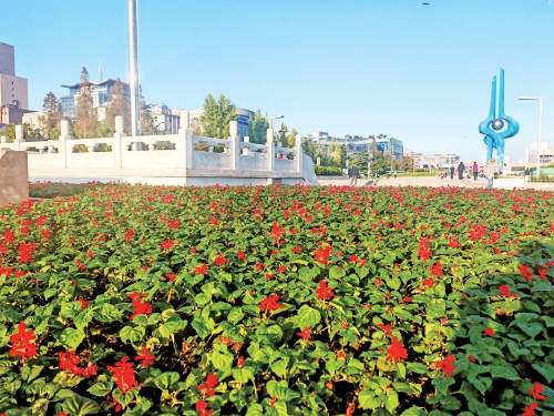 守护“一城绿” 心系“国庆红”