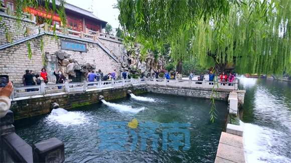 “老师儿，来黑虎泉喝杯泉水茶！”