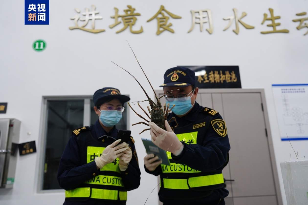 首批经港珠澳大桥进口鲜活水产顺利通关