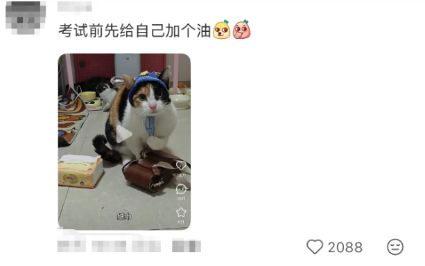 “萝卜纸巾猫”爆火，多地文旅火速加入，网友：可爱到上头