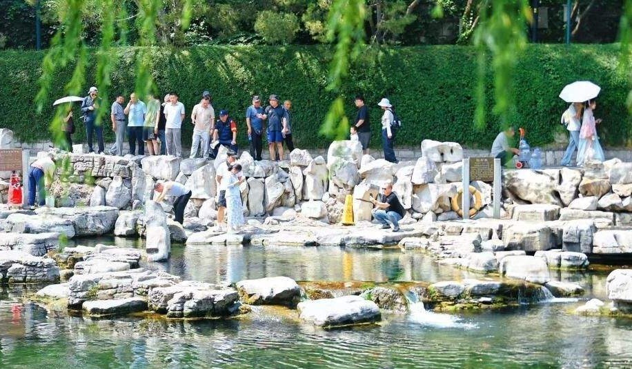 高温天气催热泉水游 济南护城河畔游人如织享清凉