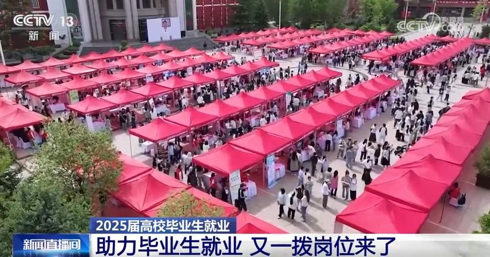 @高校毕业生，“稳就业+促就业”新岗位、新机遇、新支持来了！