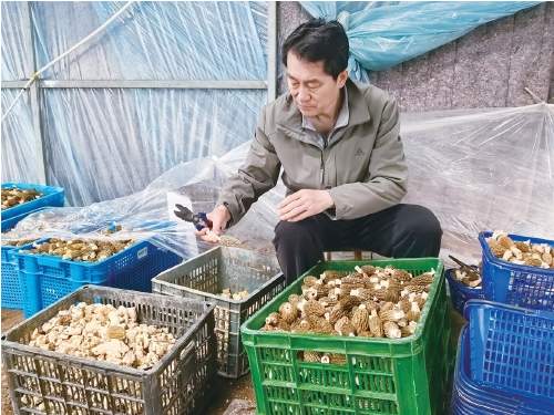 扎根乡土，他们用“实干担当”诠释“为民初心”