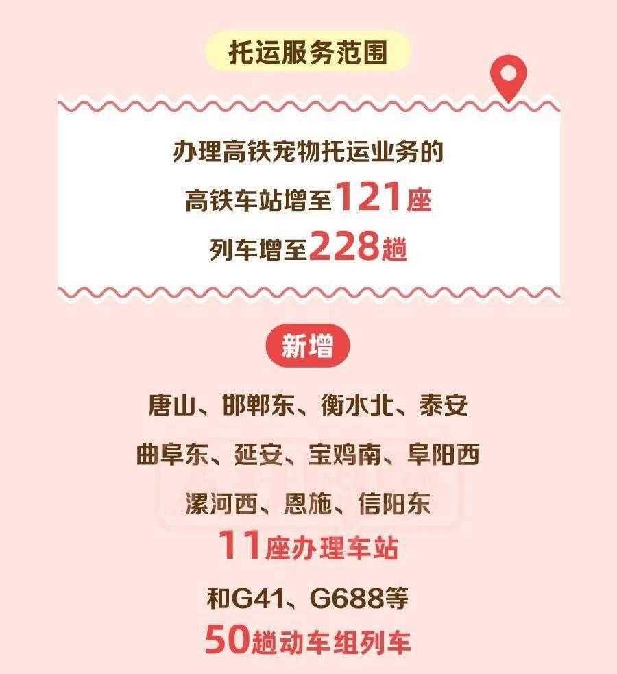 铁路宠物托运升级 它们可以独自“坐”高铁了