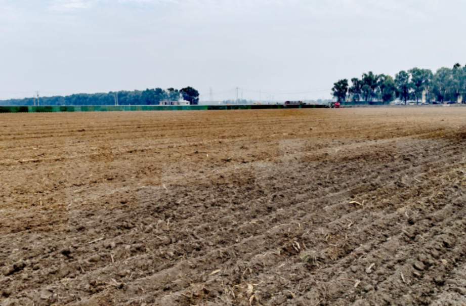 马上立冬,山东抢抓20天窗口期播种冬小麦